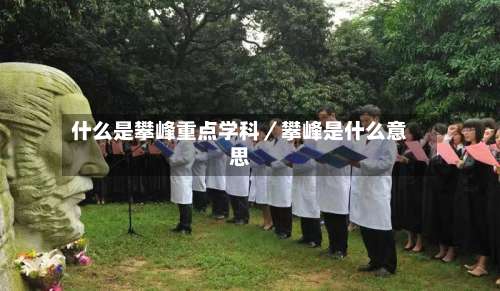 什么是攀峰重点学科／攀峰是什么意思-第1张图片