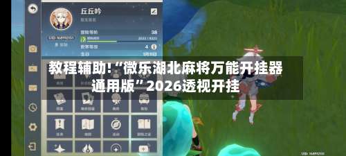 教程辅助!“微乐湖北麻将万能开挂器通用版	”2026透视开挂-第1张图片