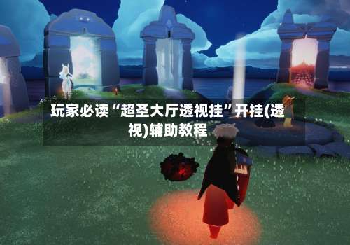 玩家必读“超圣大厅透视挂”开挂(透视)辅助教程-第3张图片