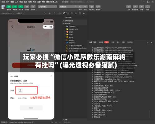 玩家必搜“微信小程序微乐湖南麻将有挂吗”(曝光透视必备猫腻)-第1张图片
