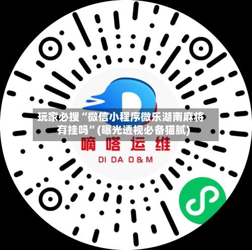 玩家必搜“微信小程序微乐湖南麻将有挂吗”(曝光透视必备猫腻)-第3张图片