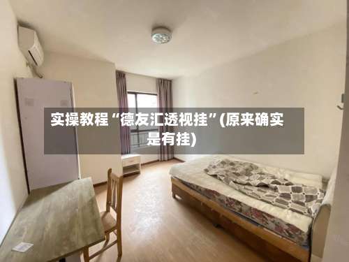 实操教程“德友汇透视挂	”(原来确实是有挂)-第2张图片