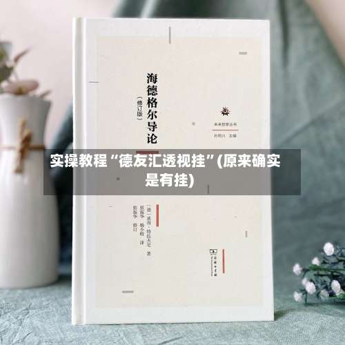 实操教程“德友汇透视挂”(原来确实是有挂)-第1张图片