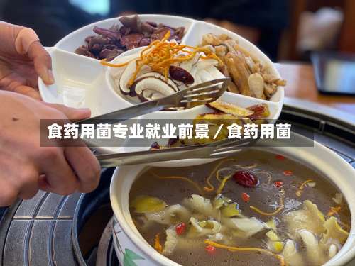 食药用菌专业就业前景／食药用菌-第1张图片