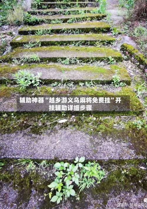 辅助神器“越乡游义乌麻将免费挂”开挂辅助详细步骤-第2张图片