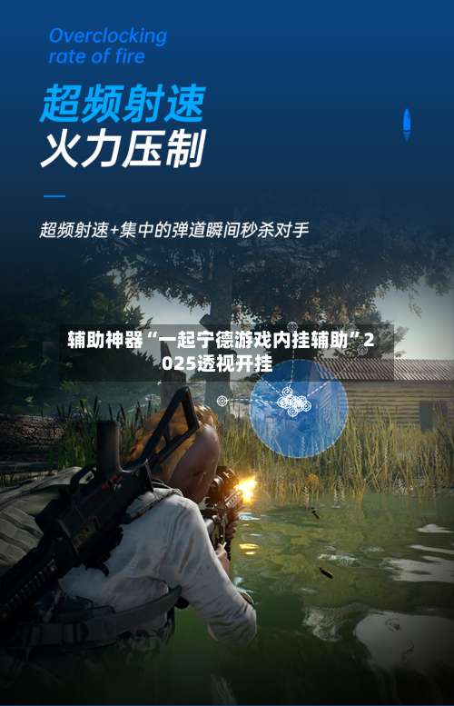 辅助神器“一起宁德游戏内挂辅助”2025透视开挂-第3张图片