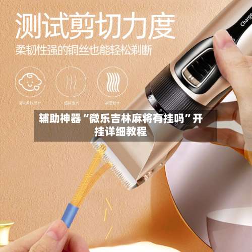 辅助神器“微乐吉林麻将有挂吗”开挂详细教程-第1张图片