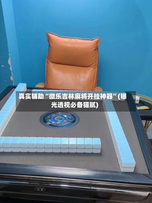 真实辅助“微乐吉林麻将开挂神器”(曝光透视必备猫腻)-第1张图片