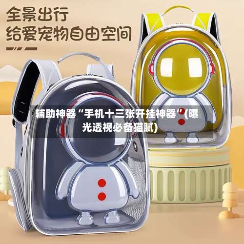 辅助神器“手机十三张开挂神器	”(曝光透视必备猫腻)-第1张图片