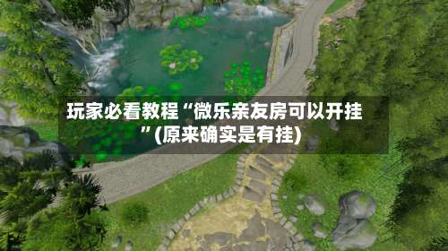 玩家必看教程“微乐亲友房可以开挂”(原来确实是有挂)-第3张图片