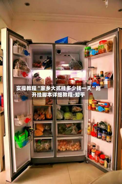 实操教程“家乡大贰挂多少钱一天	”附开挂脚本详细教程-知乎-第2张图片