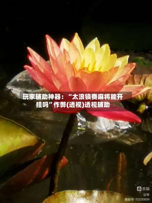 玩家辅助神器：“太浪镇赉麻将能开挂吗”作弊(透视)透视辅助-第2张图片