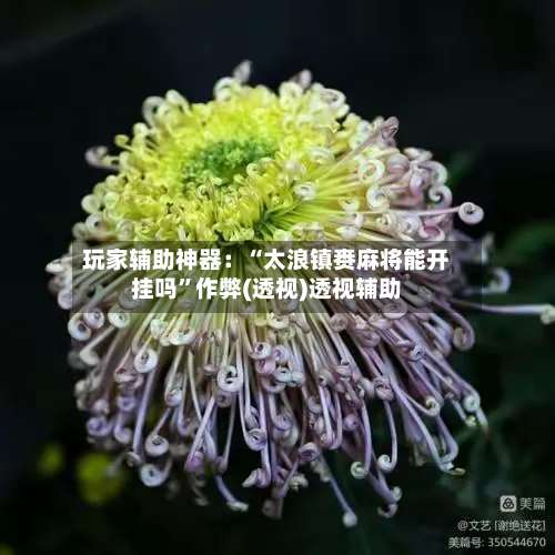 玩家辅助神器：“太浪镇赉麻将能开挂吗”作弊(透视)透视辅助-第3张图片