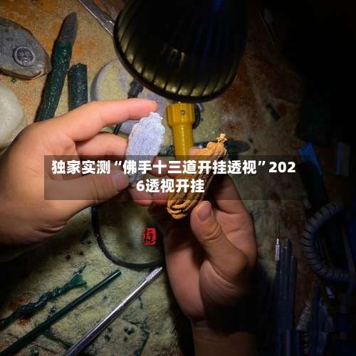 独家实测“佛手十三道开挂透视”2026透视开挂-第1张图片