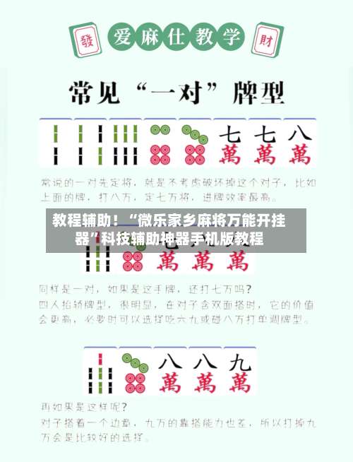 教程辅助！“微乐家乡麻将万能开挂器”科技辅助神器手机版教程-第3张图片