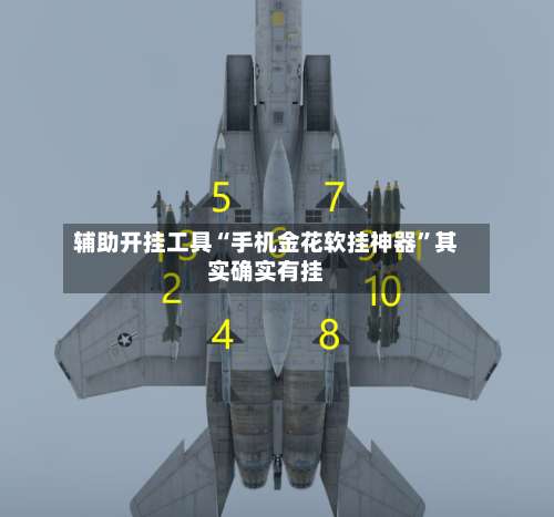 辅助开挂工具“手机金花软挂神器”其实确实有挂-第2张图片