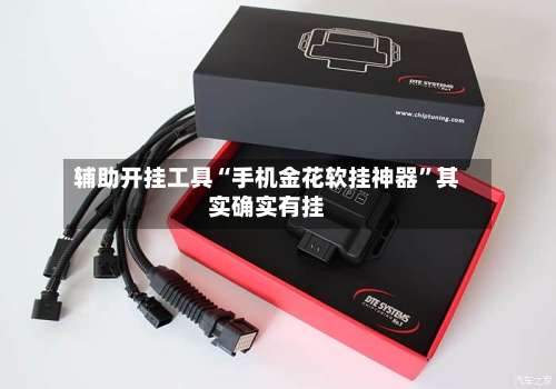 辅助开挂工具“手机金花软挂神器”其实确实有挂-第1张图片