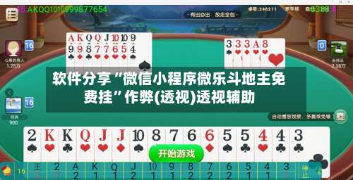 软件分享“微信小程序微乐斗地主免费挂”作弊(透视)透视辅助-第3张图片