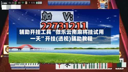辅助开挂工具“微乐云南麻将挂试用一天”开挂(透视)辅助教程-第1张图片