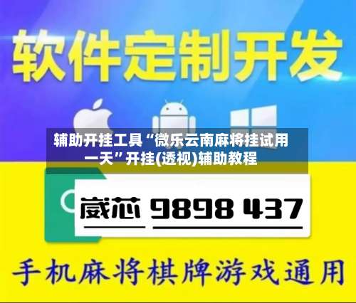 辅助开挂工具“微乐云南麻将挂试用一天	”开挂(透视)辅助教程-第2张图片