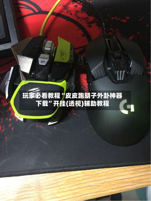 玩家必看教程“皮皮跑胡子外卦神器下载”开挂(透视)辅助教程-第2张图片