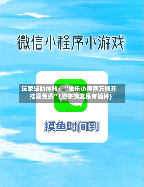 玩家辅助神器：“微乐小程序万能开挂器免费”(原来确实是有插件)-第2张图片