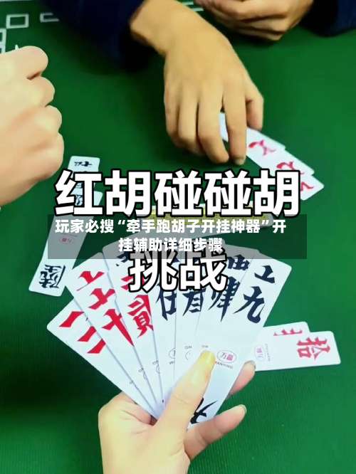 玩家必搜“牵手跑胡子开挂神器”开挂辅助详细步骤-第3张图片