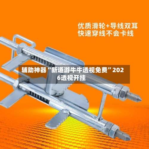 辅助神器“新道游牛牛透视免费”2026透视开挂-第2张图片