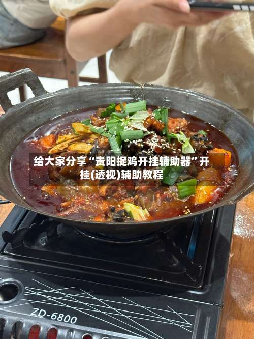 给大家分享“贵阳捉鸡开挂辅助器”开挂(透视)辅助教程-第2张图片