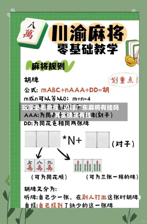 玩家必看教程“边锋广东麻将有挂吗	”其实确实有挂-第2张图片