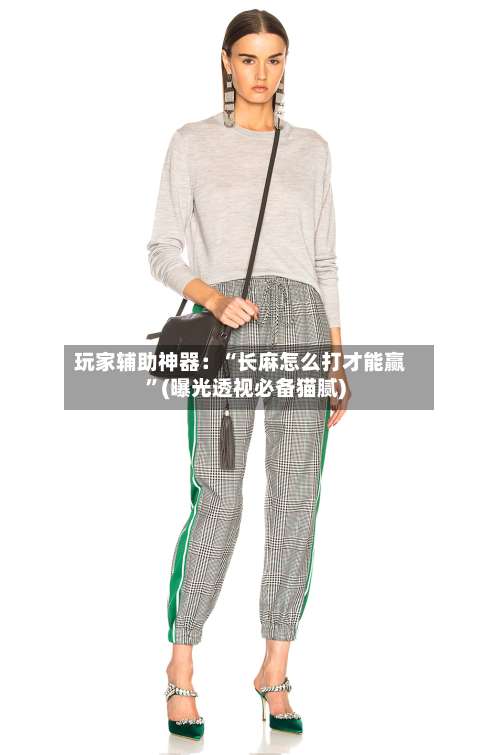 玩家辅助神器：“长麻怎么打才能赢”(曝光透视必备猫腻)-第1张图片