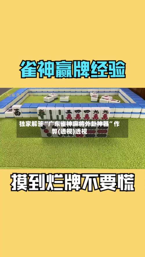 独家解答“广东雀神麻将外卦神器”作弊(透视)透视-第3张图片