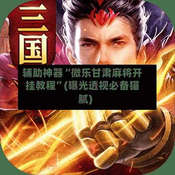 辅助神器“微乐甘肃麻将开挂教程”(曝光透视必备猫腻)-第3张图片