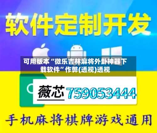 可用版本“微乐吉林麻将外卦神器下载软件”作弊(透视)透视-第2张图片