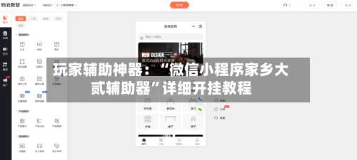 玩家辅助神器：“微信小程序家乡大贰辅助器”详细开挂教程-第1张图片