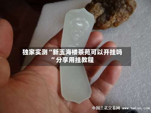 独家实测“新玉海楼茶苑可以开挂吗	”分享用挂教程-第2张图片