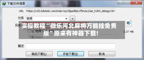 实操教程“微乐河北麻将万能挂免费版	”原来有神器下载!-第3张图片