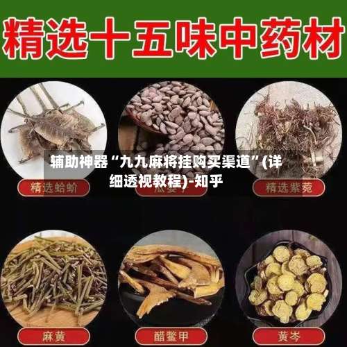 辅助神器“九九麻将挂购买渠道”(详细透视教程)-知乎-第3张图片