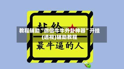教程辅助“微信牛牛外卦神器”开挂(透视)辅助教程-第2张图片