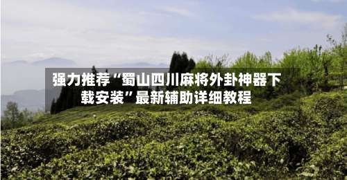 强力推荐“蜀山四川麻将外卦神器下载安装	”最新辅助详细教程-第2张图片