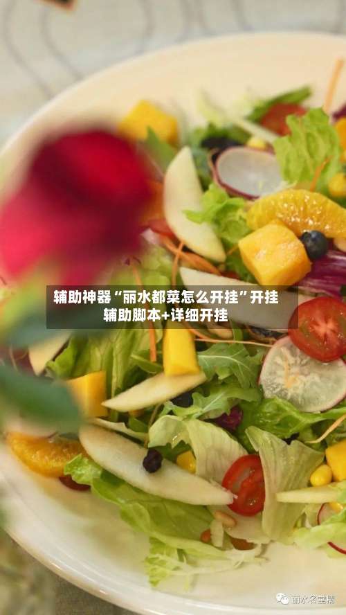 辅助神器“丽水都菜怎么开挂”开挂辅助脚本+详细开挂-第1张图片