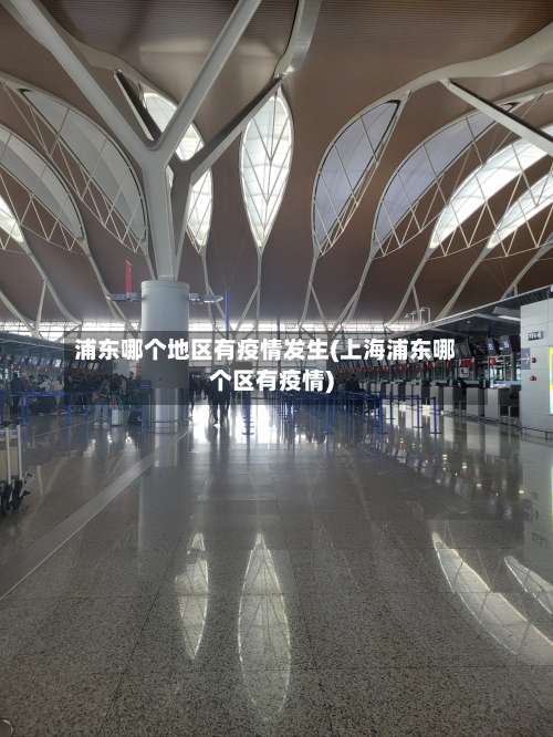 浦东哪个地区有疫情发生(上海浦东哪个区有疫情)-第1张图片