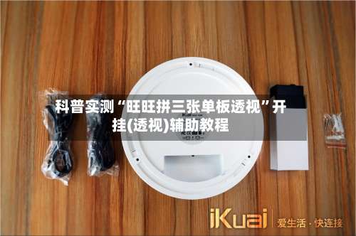 科普实测“旺旺拼三张单板透视”开挂(透视)辅助教程-第3张图片