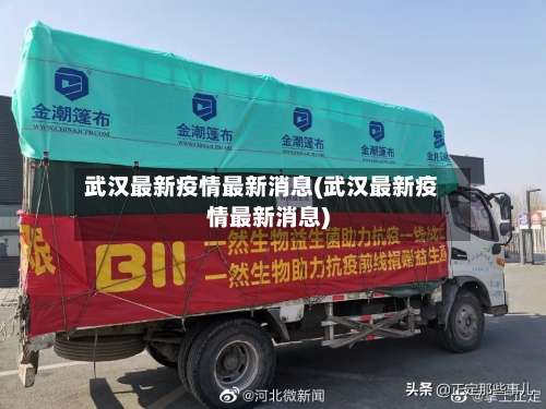 武汉最新疫情最新消息(武汉最新疫情最新消息)-第1张图片