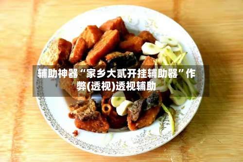 辅助神器“家乡大贰开挂辅助器”作弊(透视)透视辅助-第1张图片