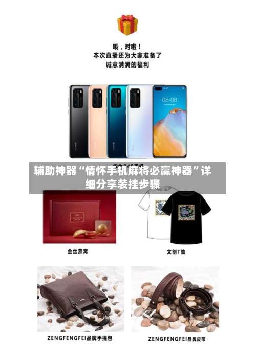 辅助神器“情怀手机麻将必赢神器”详细分享装挂步骤-第3张图片