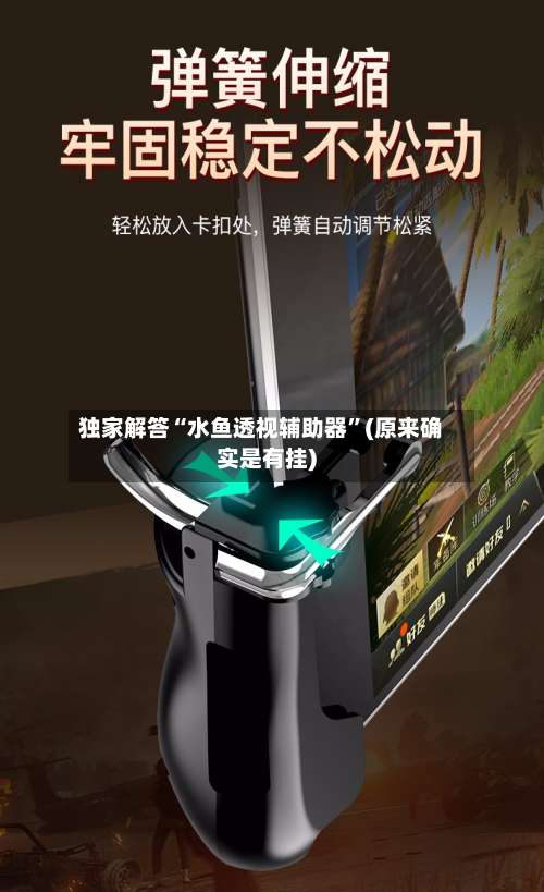 独家解答“水鱼透视辅助器”(原来确实是有挂)-第3张图片