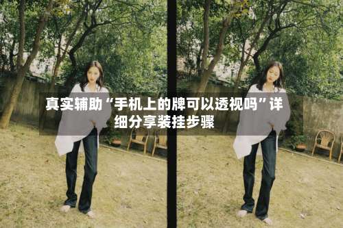 真实辅助“手机上的牌可以透视吗”详细分享装挂步骤-第3张图片