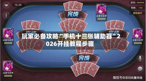 玩家必备攻略“手机十三张辅助器”2026开挂教程步骤-第1张图片