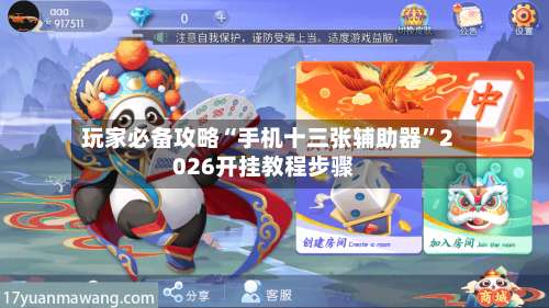 玩家必备攻略“手机十三张辅助器”2026开挂教程步骤-第2张图片